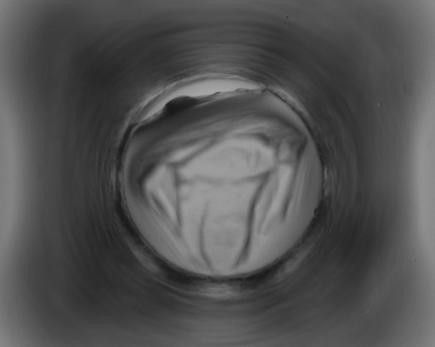X0000083040349200703022053