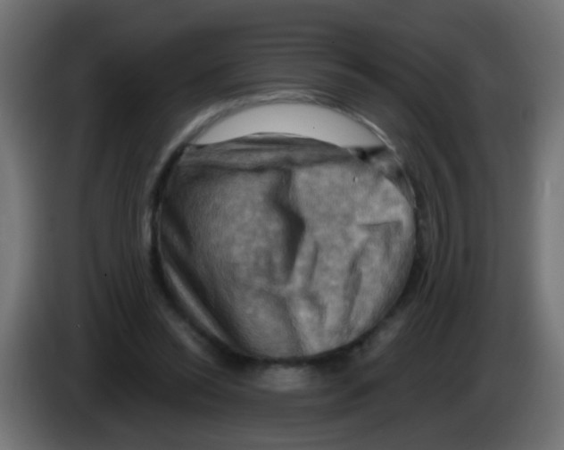 X0000083040350200703022053