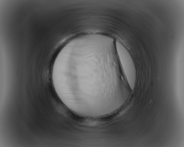 X0000083040351200703022053