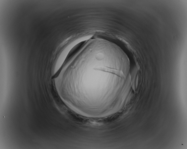 X0000083040352200703022053