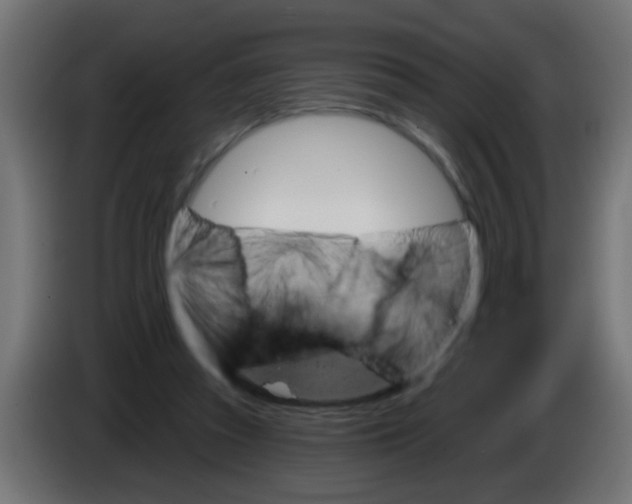 X0000083040353200703022053