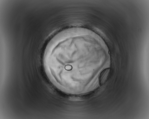 X0000083040354200703022053