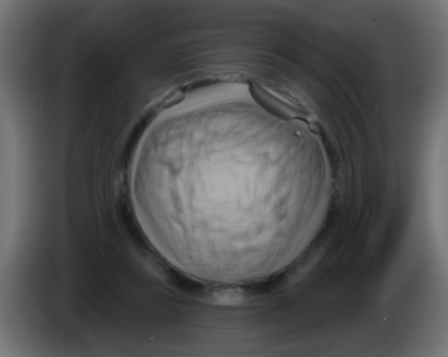 X0000083040355200703022053