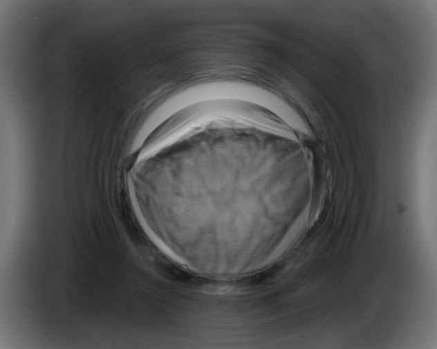 X0000083040356200703022054