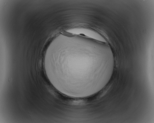X0000083040357200703022054