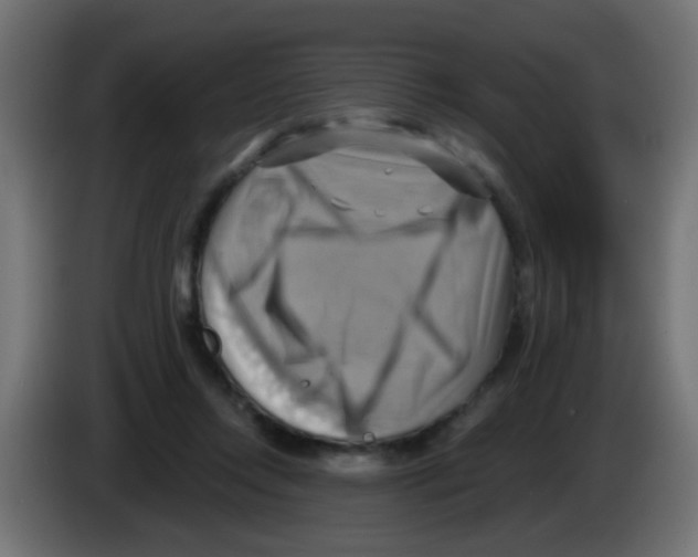 X0000083040358200703022054