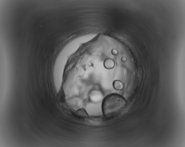 X0000083040359200703022054