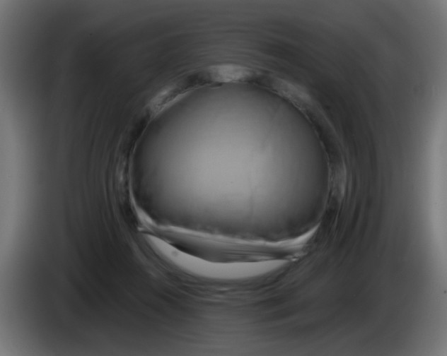 X0000083040360200703022054