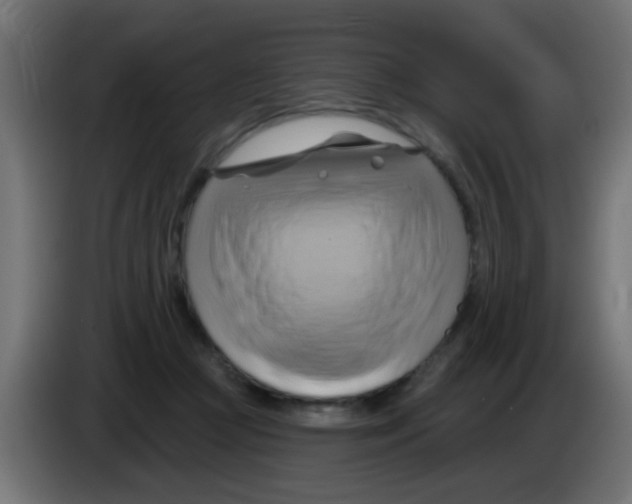 X0000083040361200703022054