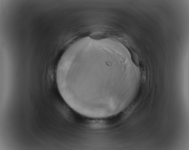 X0000083040363200703022054