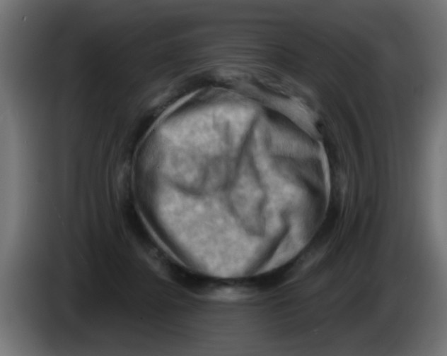 X0000083040364200703022054