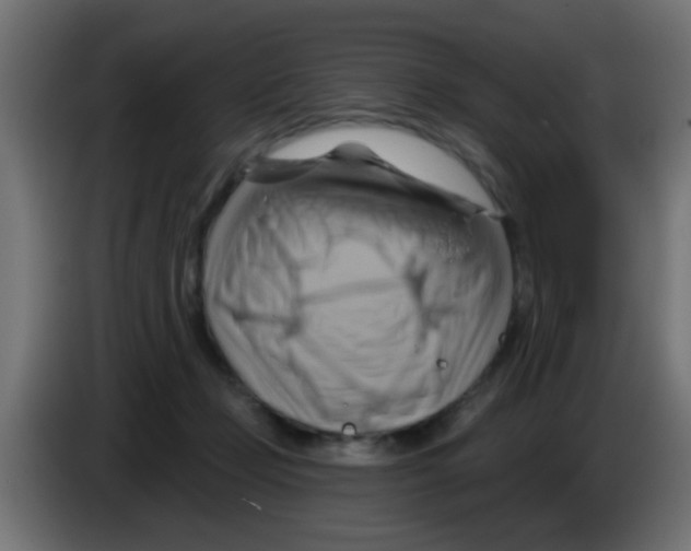 X0000083040365200703022054