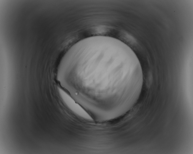 X0000083040366200703022054