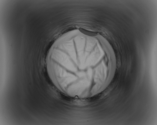 X0000083040367200703022054