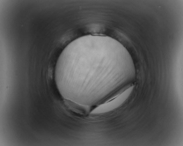 X0000083040368200703022054