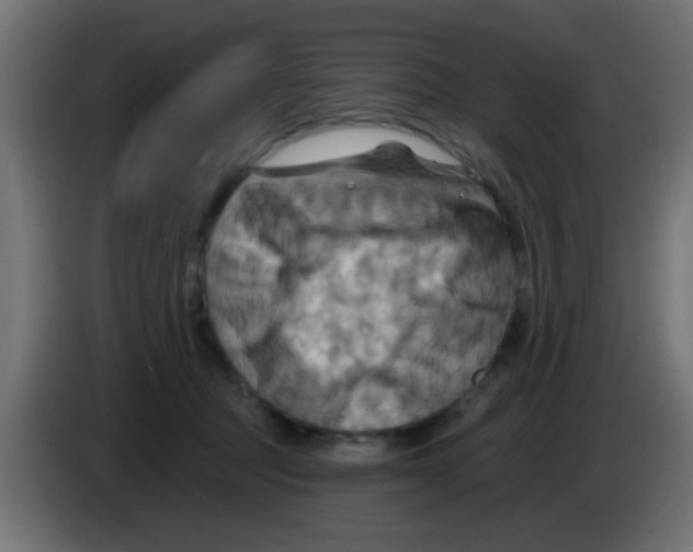 X0000083040369200703022054