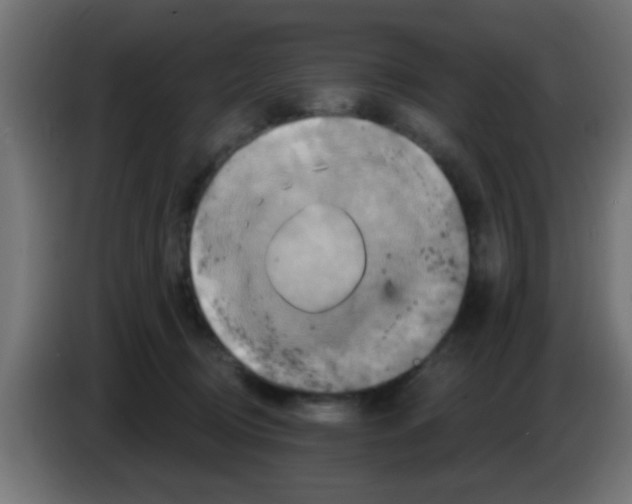 X0000083040370200703022054