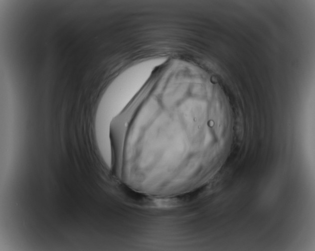 X0000083040371200703022054
