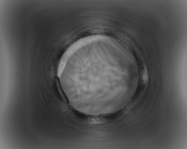 X0000083040372200703022054