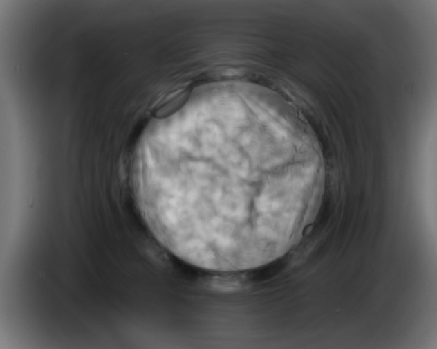 X0000083040373200703022054
