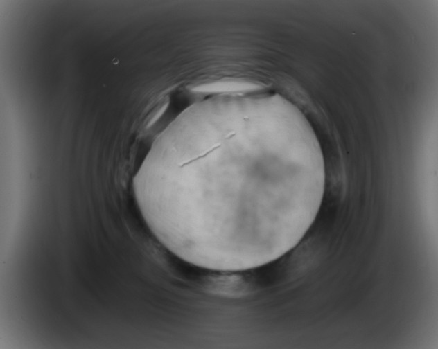 X0000083040374200703022054