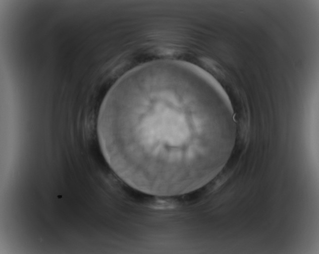 X0000083040376200703022054