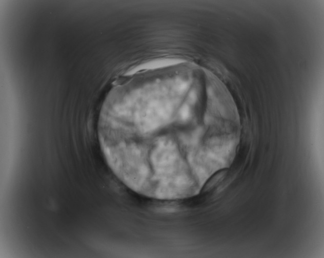 X0000083040377200703022054