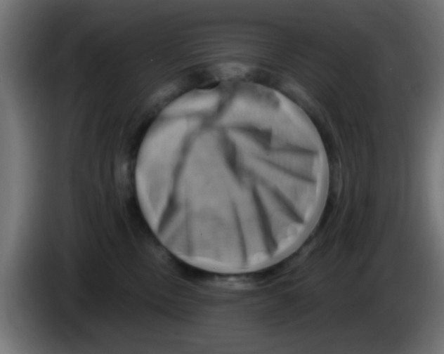 X0000083040378200703022054