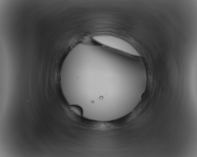 X0000083040379200703022054