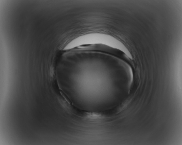 X0000083040380200703022054