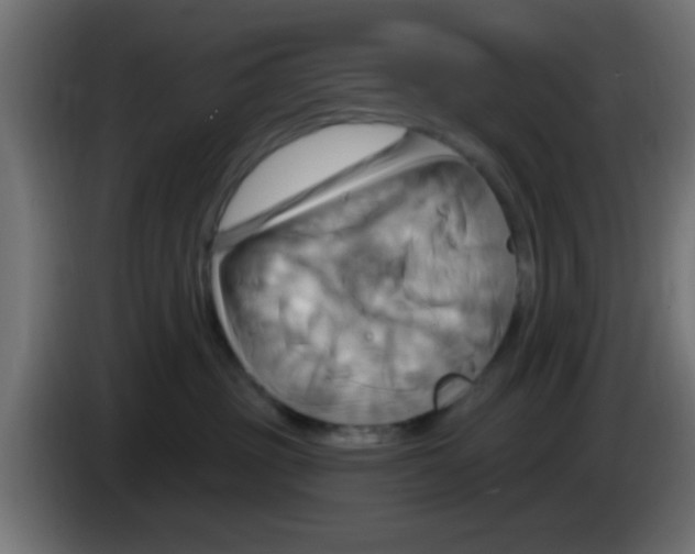X0000083040381200703022054