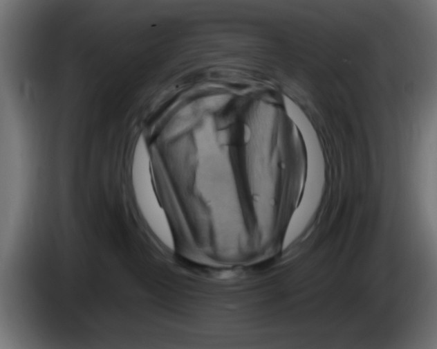 X0000083040382200703022054