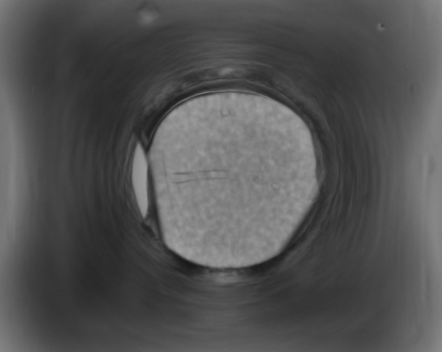 X0000083040384200703022054