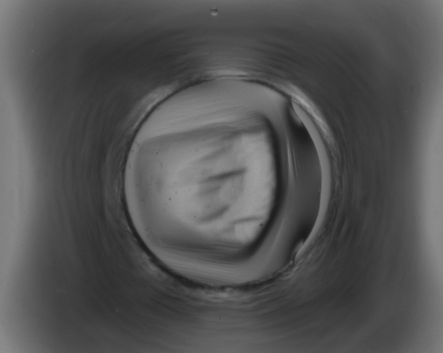 X0000083040385200703022053