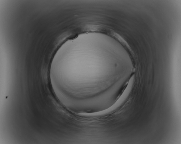 X0000083040386200703022053