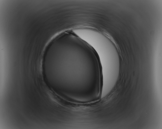 X0000083040387200703022053