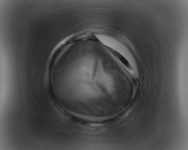 X0000083040388200703022053