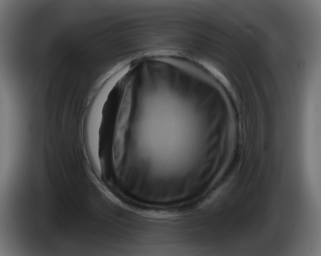 X0000083040389200703022053