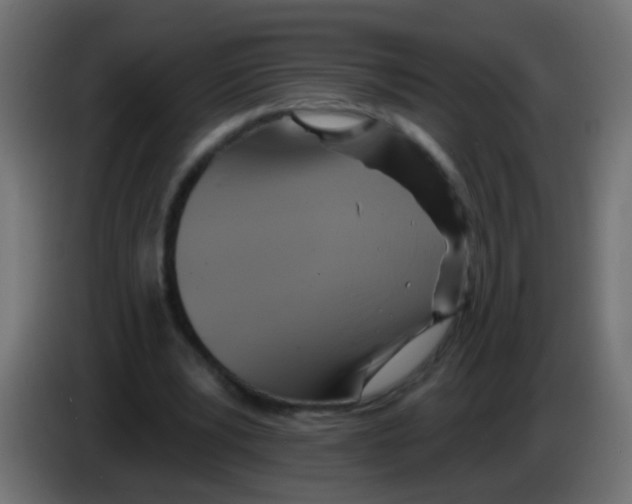 X0000083040391200703022053