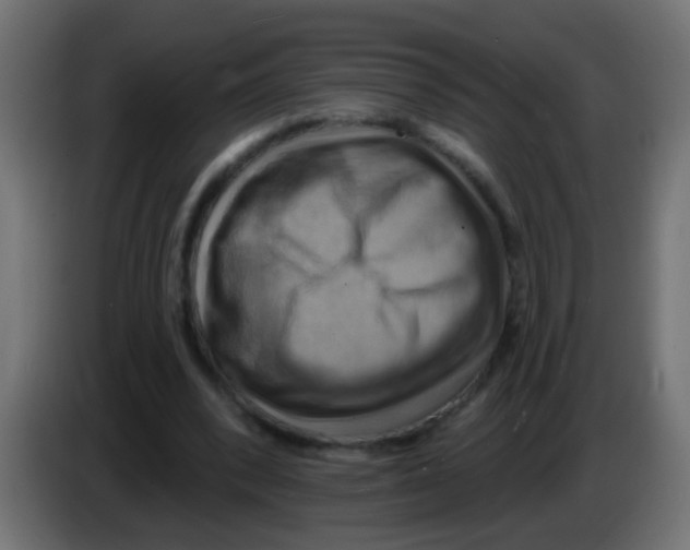 X0000083040392200703022053