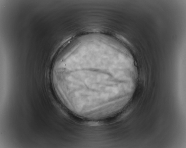 X0000083040394200703022053