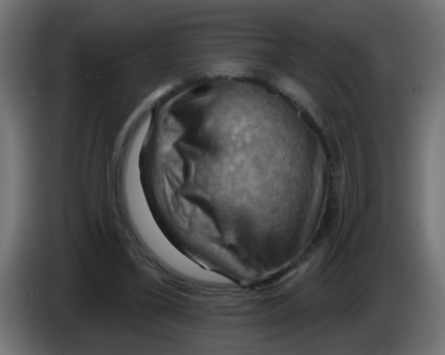 X0000083040395200703022053