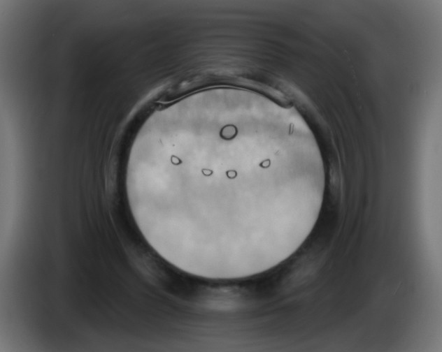 X0000083040396200703022053