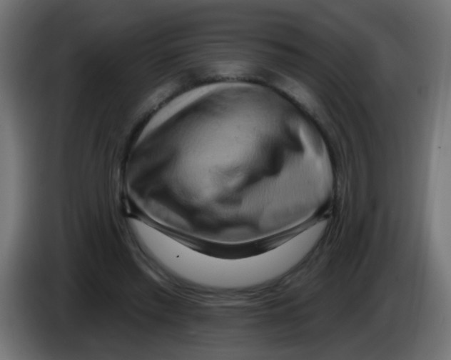 X0000083040397200703022053