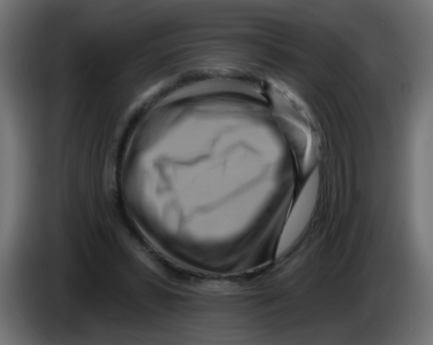 X0000083040399200703022053