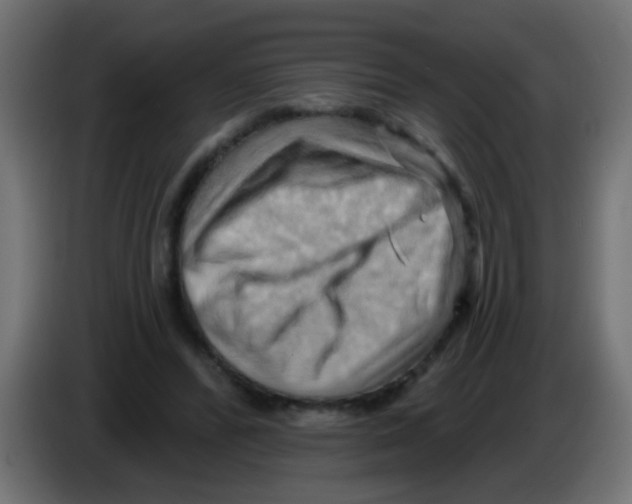 X0000083040400200703022053