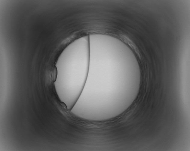 X0000083040401200703022053