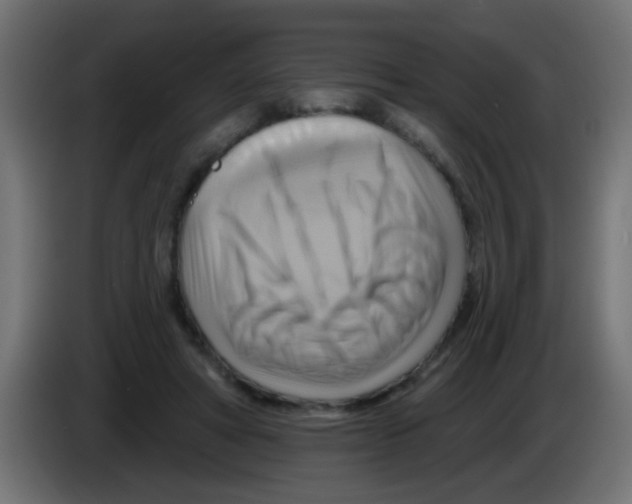 X0000083040402200703022053