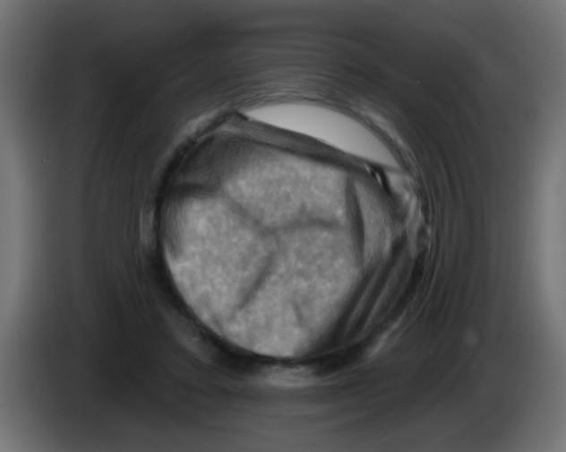 X0000083040403200703022053