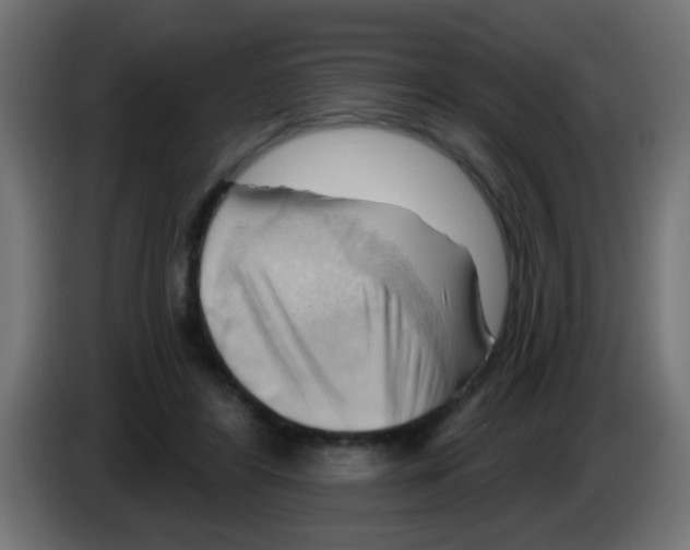 X0000083040404200703022053